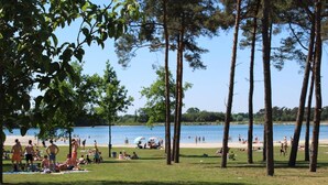A beach with people sunbathing and swimming, surrounded by tall trees and a clear blue sky. - Hotel Nederheide (Milheeze)