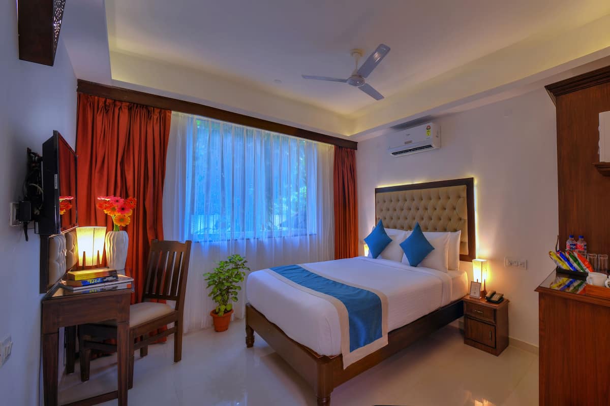 Superior Room | View from room