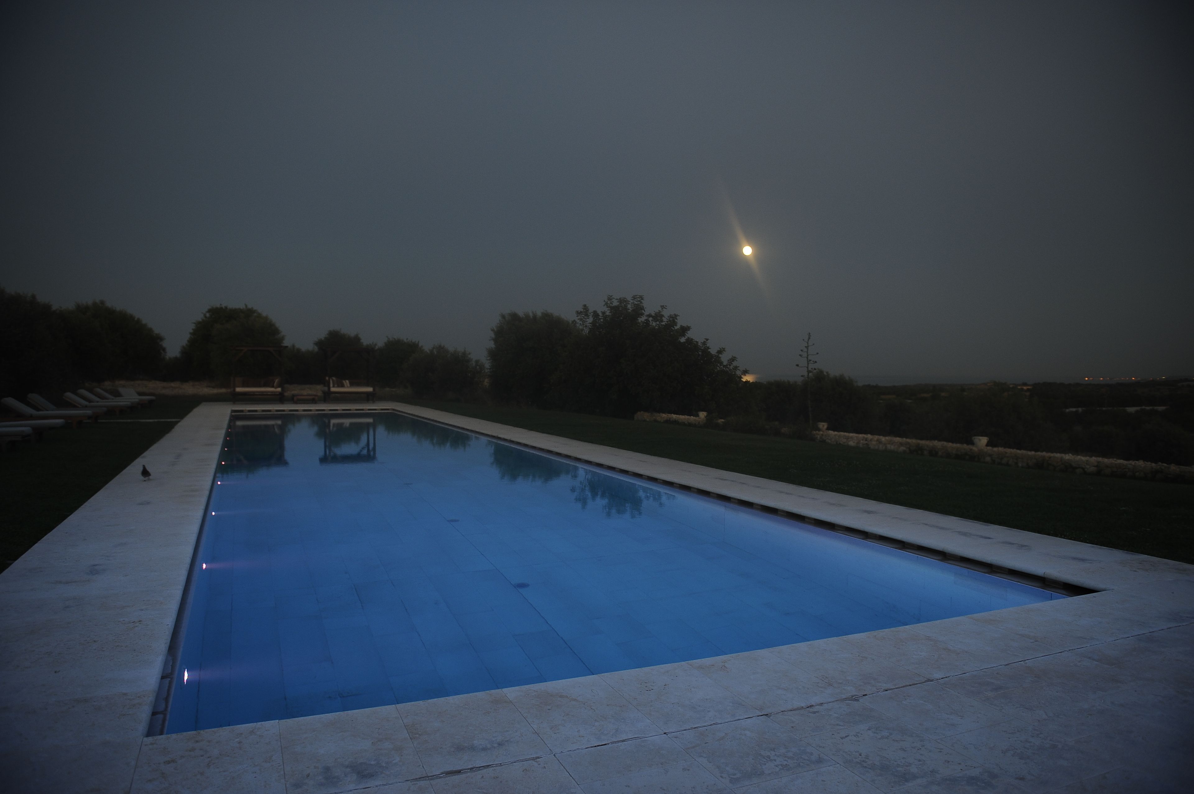 Une piscine rectangulaire bordée de carreaux, entourée d’un petit muret en pierre et d’une zone herbeuse avec des arbres.