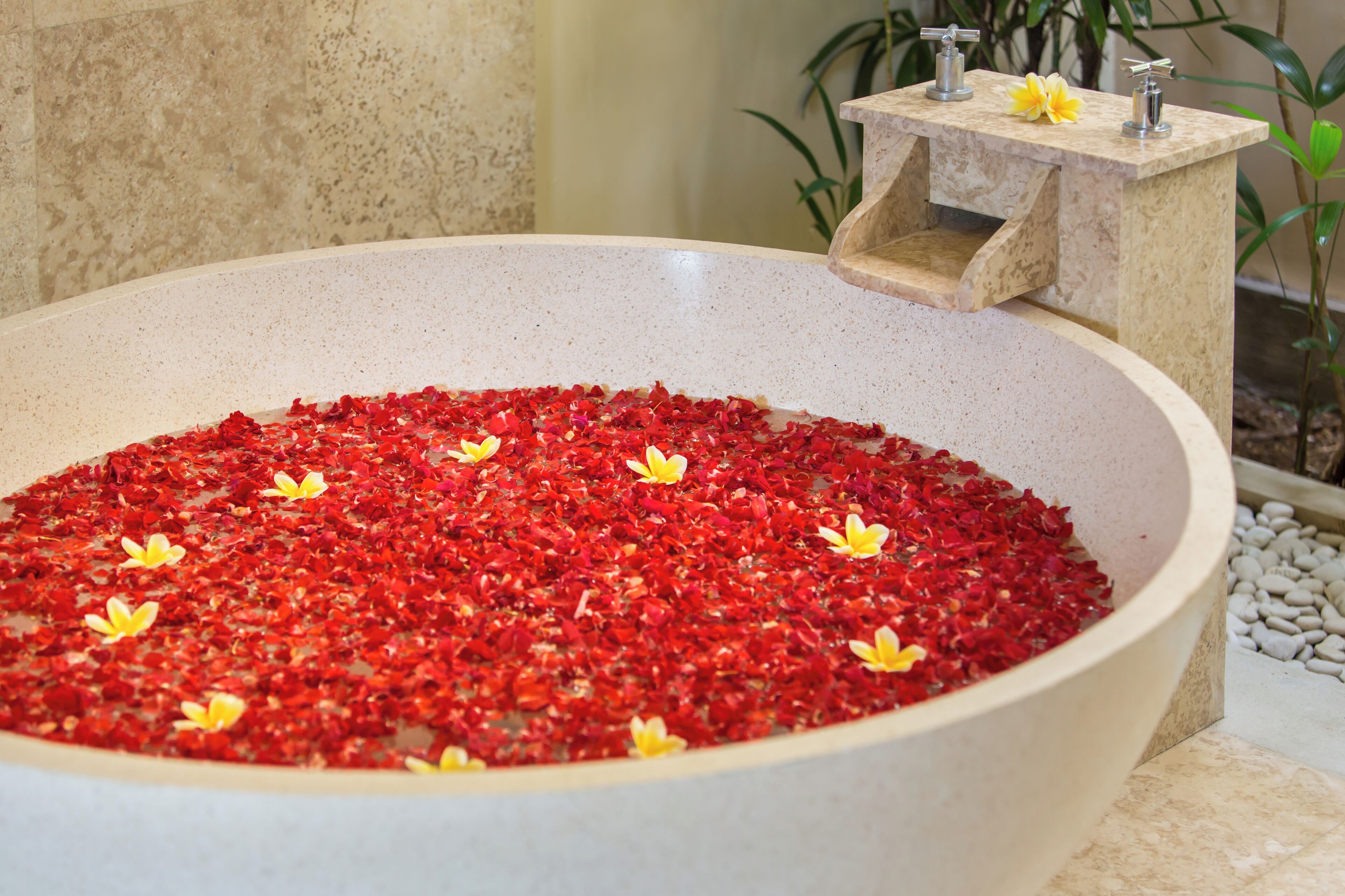 Free toiletries, hair dryer, bathrobes, slippers