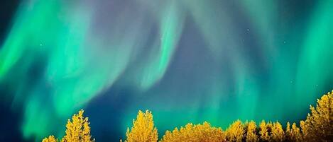 Un parking avec des voitures et des arbres, sous un ciel nocturne illuminé par des aurores boréales.