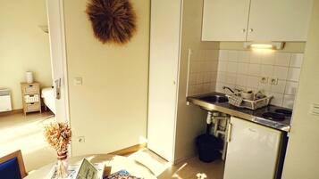 Economy Apartment | Private kitchen | Fridge