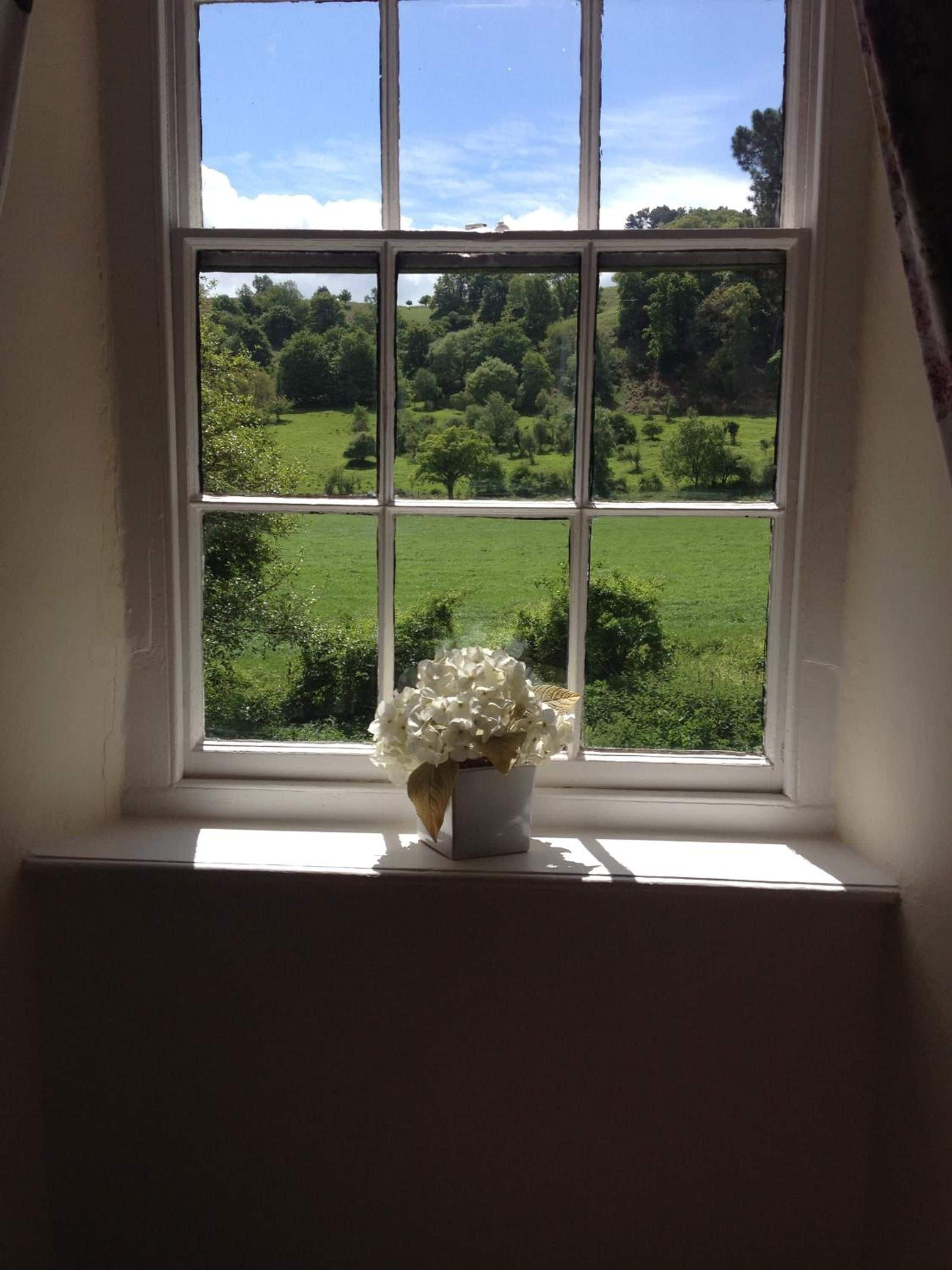 Una ventana con vista a un paisaje verde y una planta en maceta en el alféizar.
