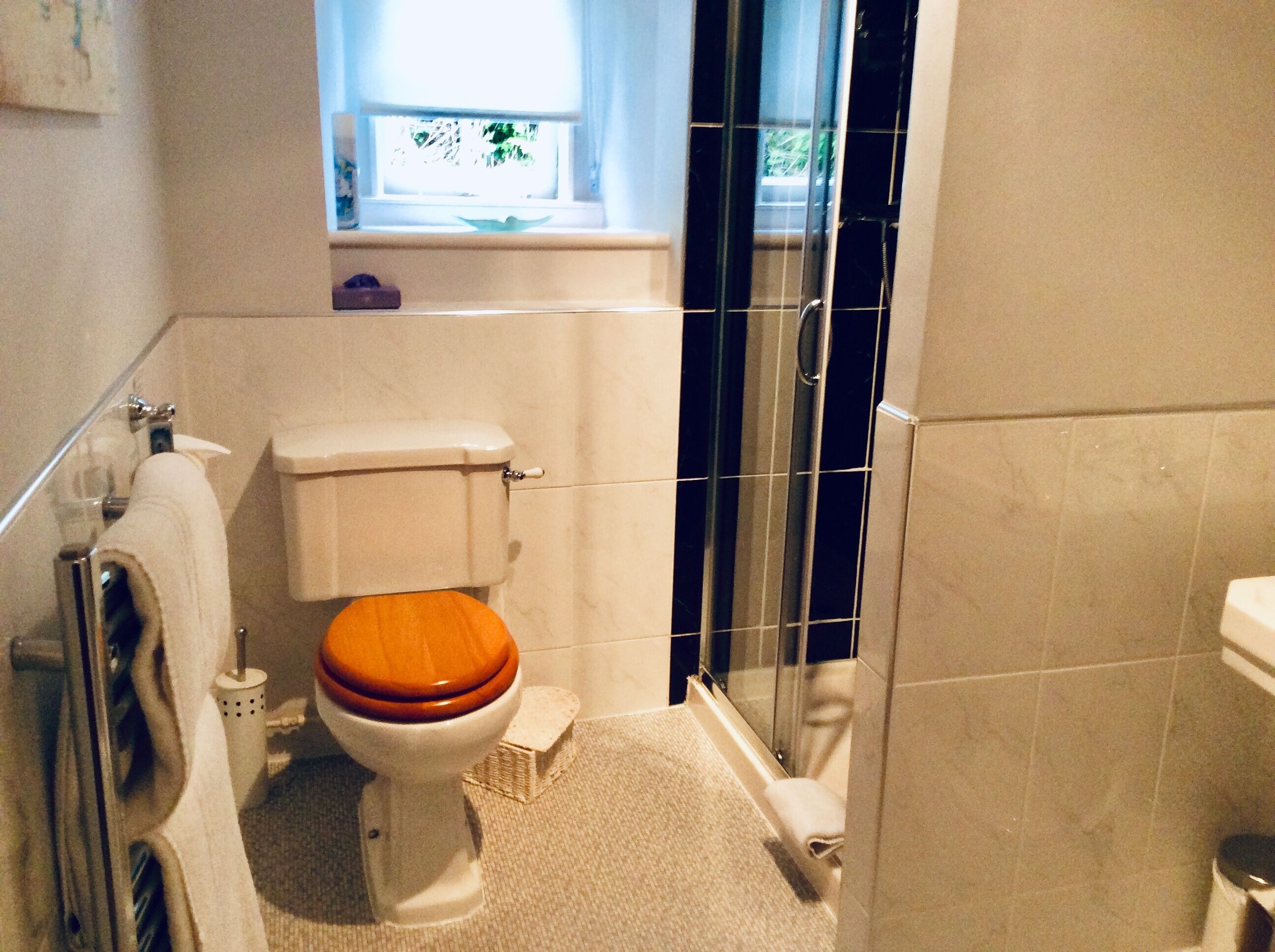 A bathroom with a toilet, a glass shower enclosure, and a window with a view of greenery.