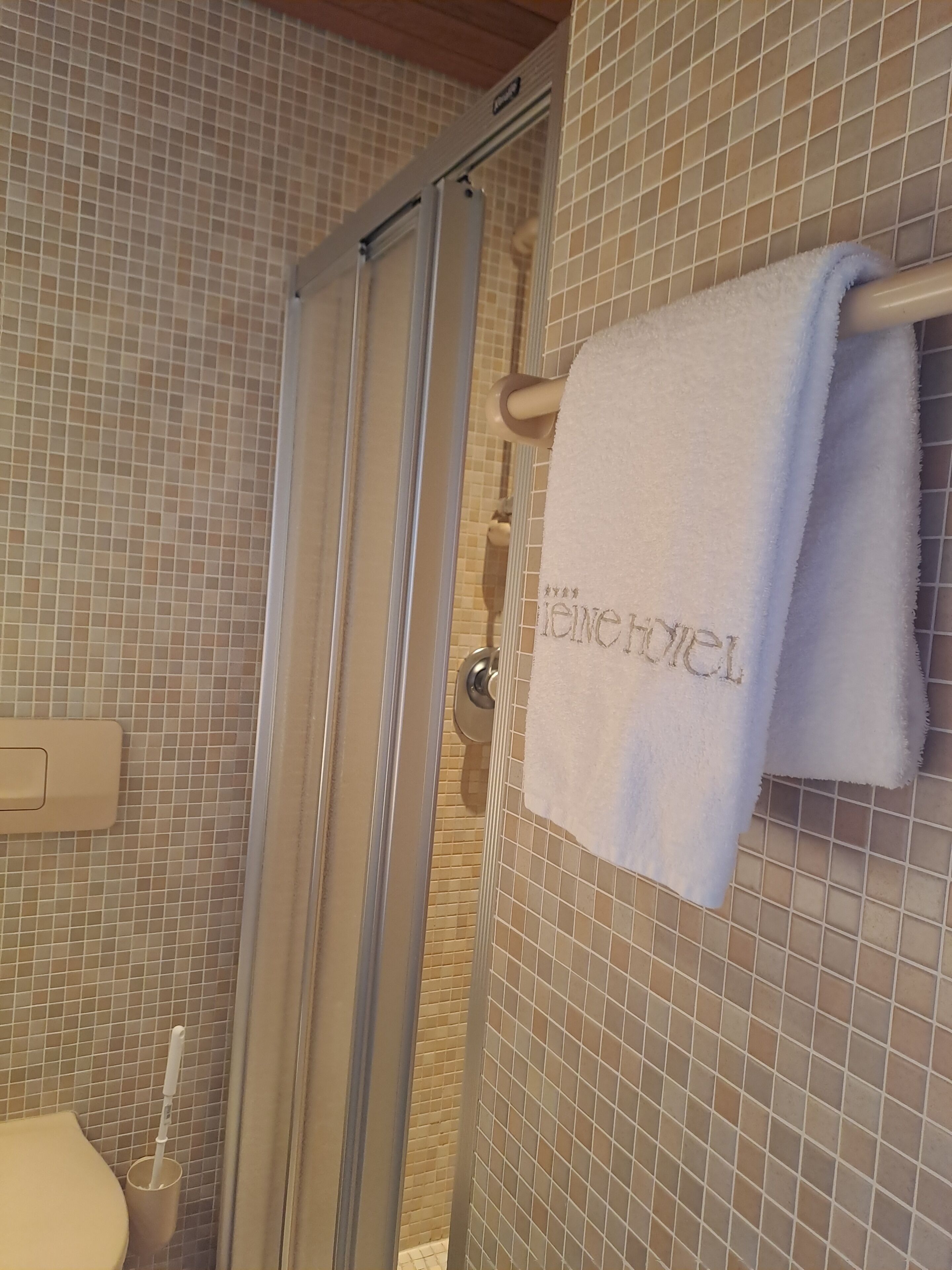 A bathroom with a glass shower door, a toilet, and a towel rack with a towel hanging on it.