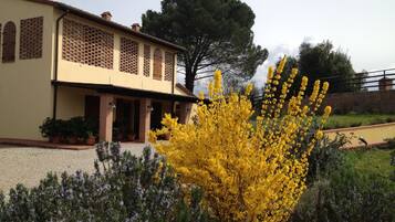 Vista frontal de la propiedad