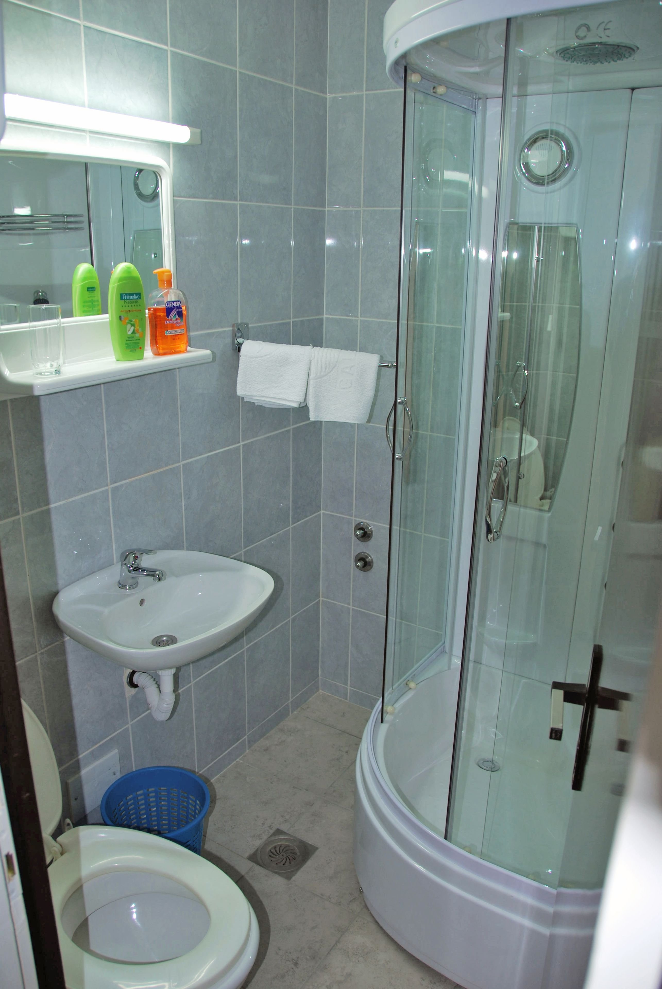 A bathroom with a sink, a glass shower enclosure, and a toilet.