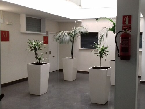 Apartamentos Turísticos Los Ángeles