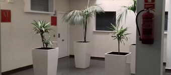 Apartamentos Turísticos Los Ángeles