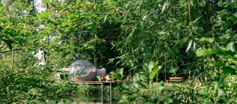 Les Aires en Scènes