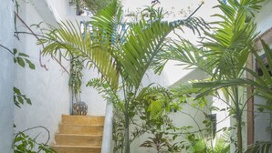 A staircase surrounded by potted plants leading to a room with a white wall and a window. - Pwani Guest House (Lamu)