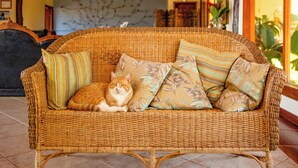A wicker sofa with floral cushions in a well-lit room with tiled flooring. - Pousada Chamamé (Bonito)