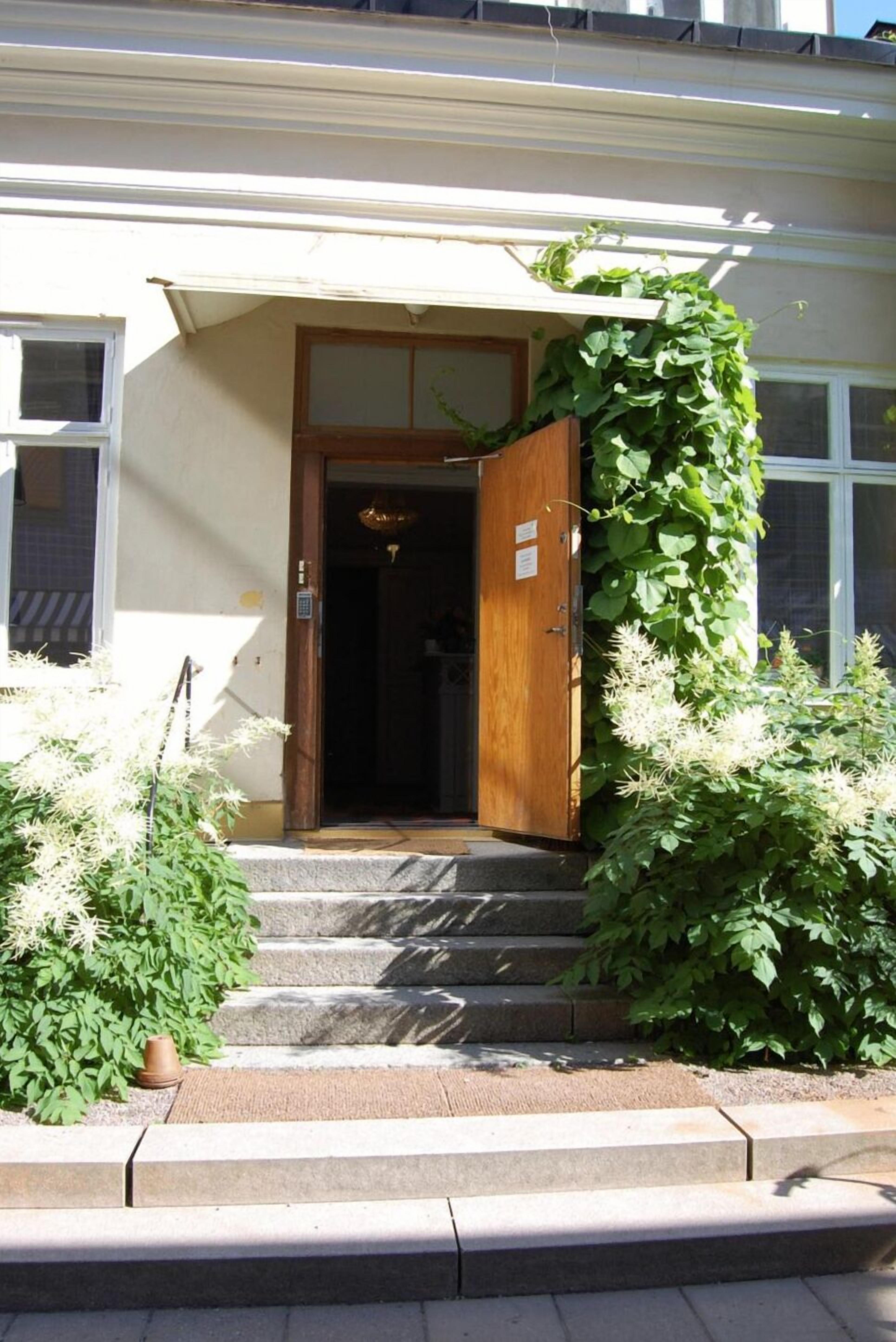 A building entrance with a wooden door, steps, and a potted plant.