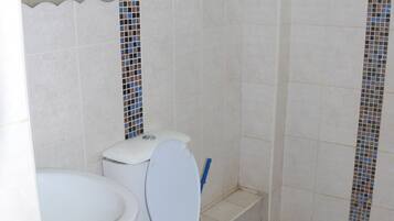 Un baño con inodoro, lavamanos y ducha.