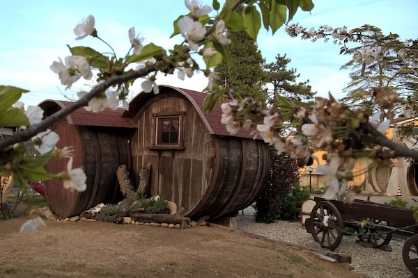 Zustellbetten, kostenloses WLAN