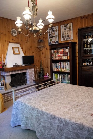 A room with a fireplace, a television on a mantelpiece, a bookshelf filled with books and decorative items, and a bed with a patterned bedspread. - B&B Pervinca (Rocca Grimalda)