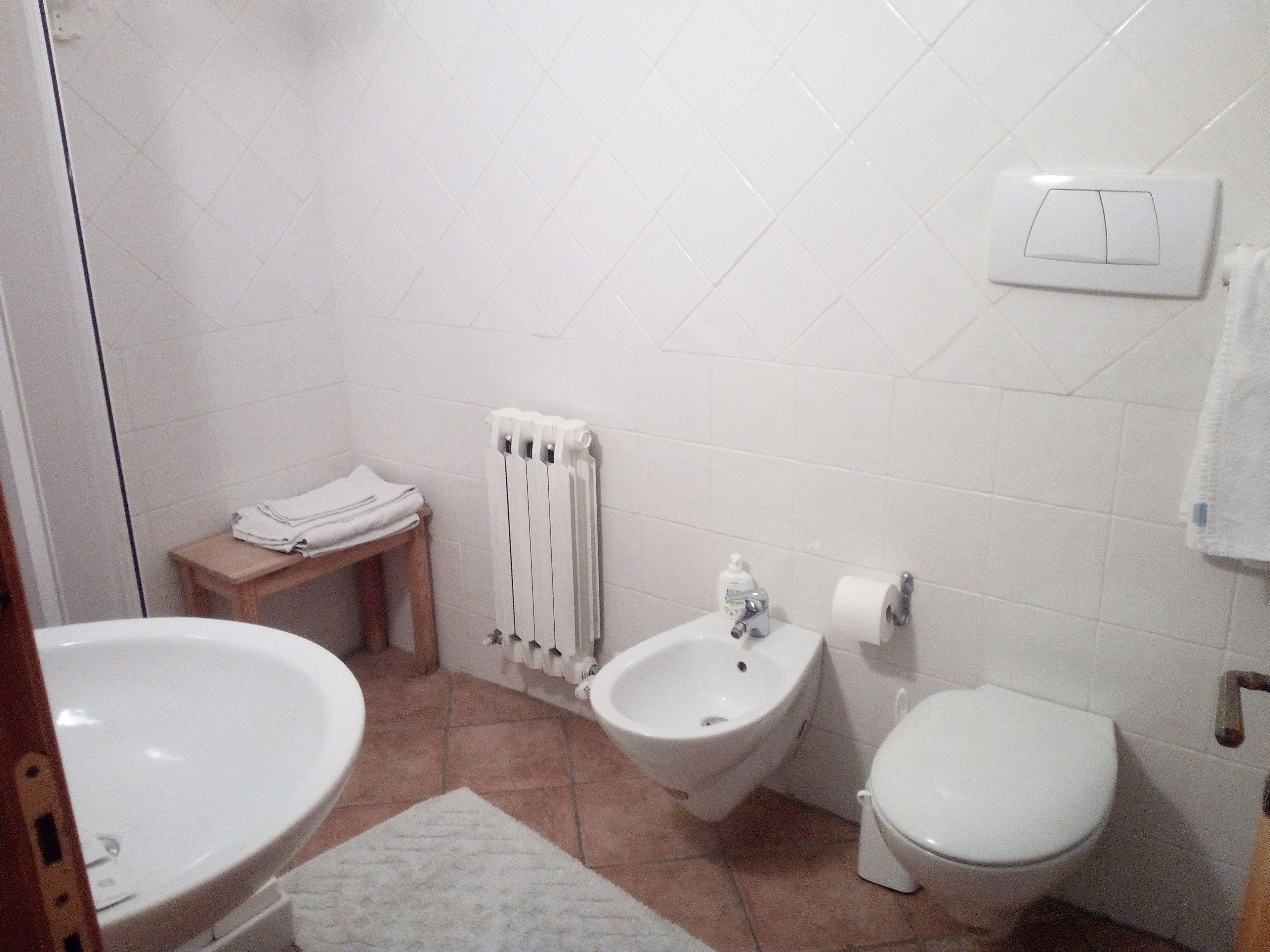 A small bathroom with a sink, bidet, and toilet. There is a towel rack and a radiator on the wall.