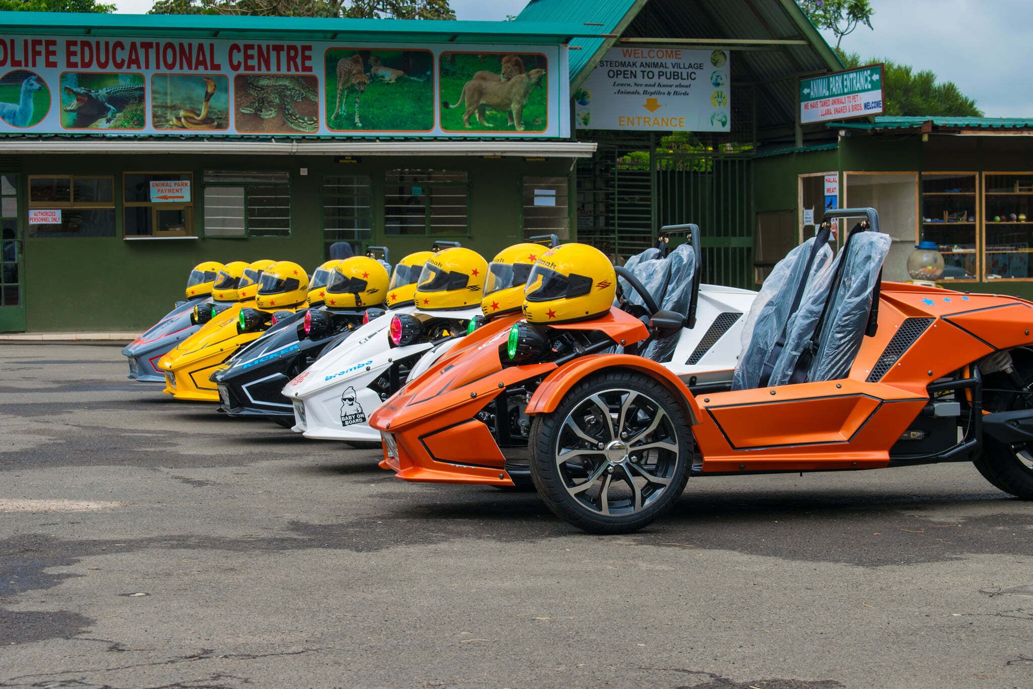 A row of custom vehicles parked in front of a building with educational signage.
