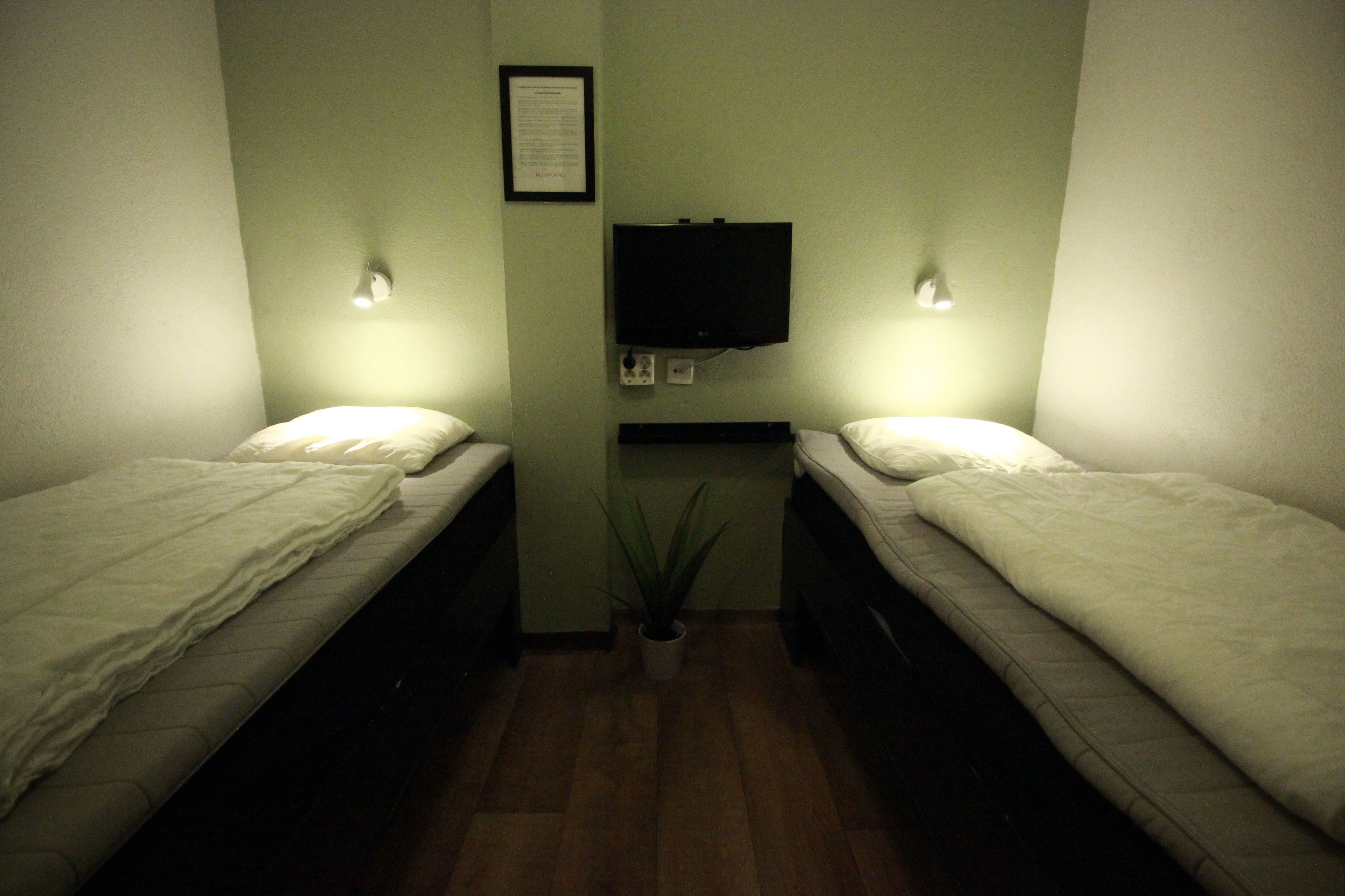 A small room with two single beds, a flat-screen TV mounted on the wall, and a potted plant between the beds.