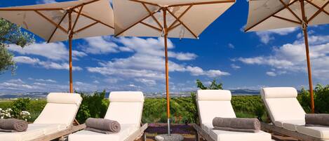 Terraza con sillones y sombrillas, con vistas a un viñedo.