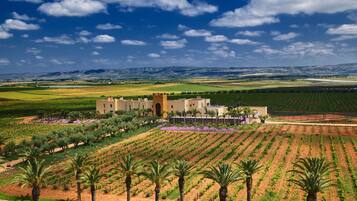 Vue depuis lâhĂ©bergement