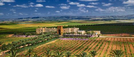 Vista des de l'allotjament