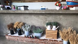 Uma prateleira com diferentes plantas em vasos e uma pequena caixa de madeira.