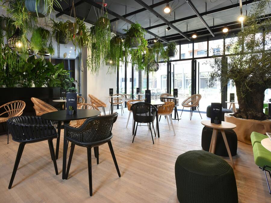 Bar (in der Unterkunft)