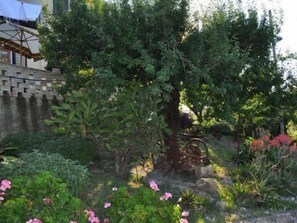 Exterior - Il Terrazzo sul Sinni (Rotondella)