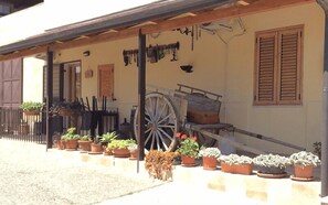 Terrace/patio - Il Terrazzo sul Sinni (Rotondella)