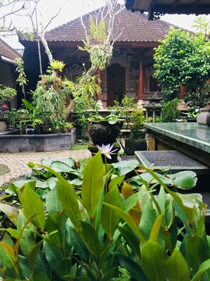 Property grounds - Wina Ubud B&B (Ubud)