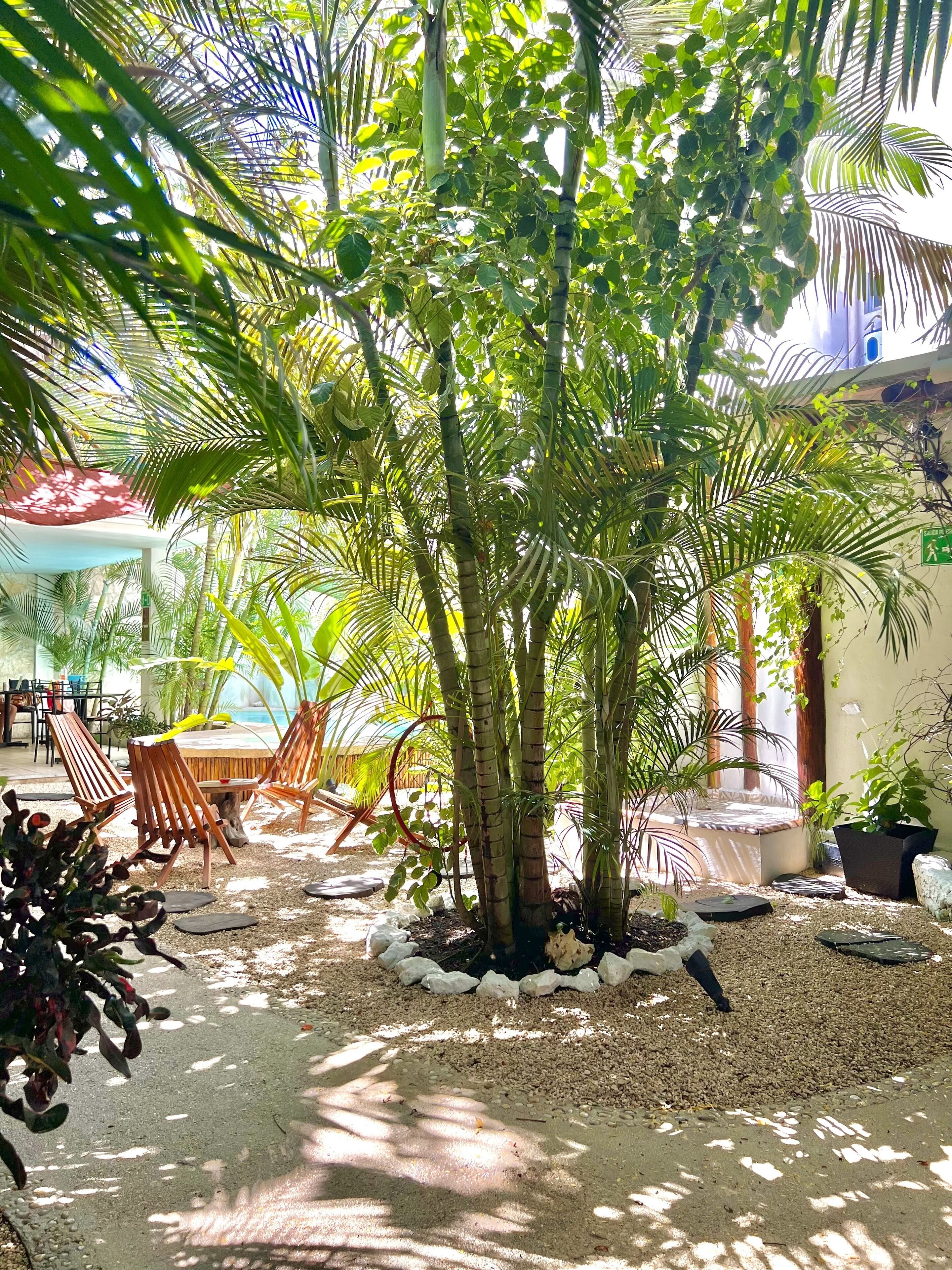 Foto - Pacha Tulum Boutique Hotel