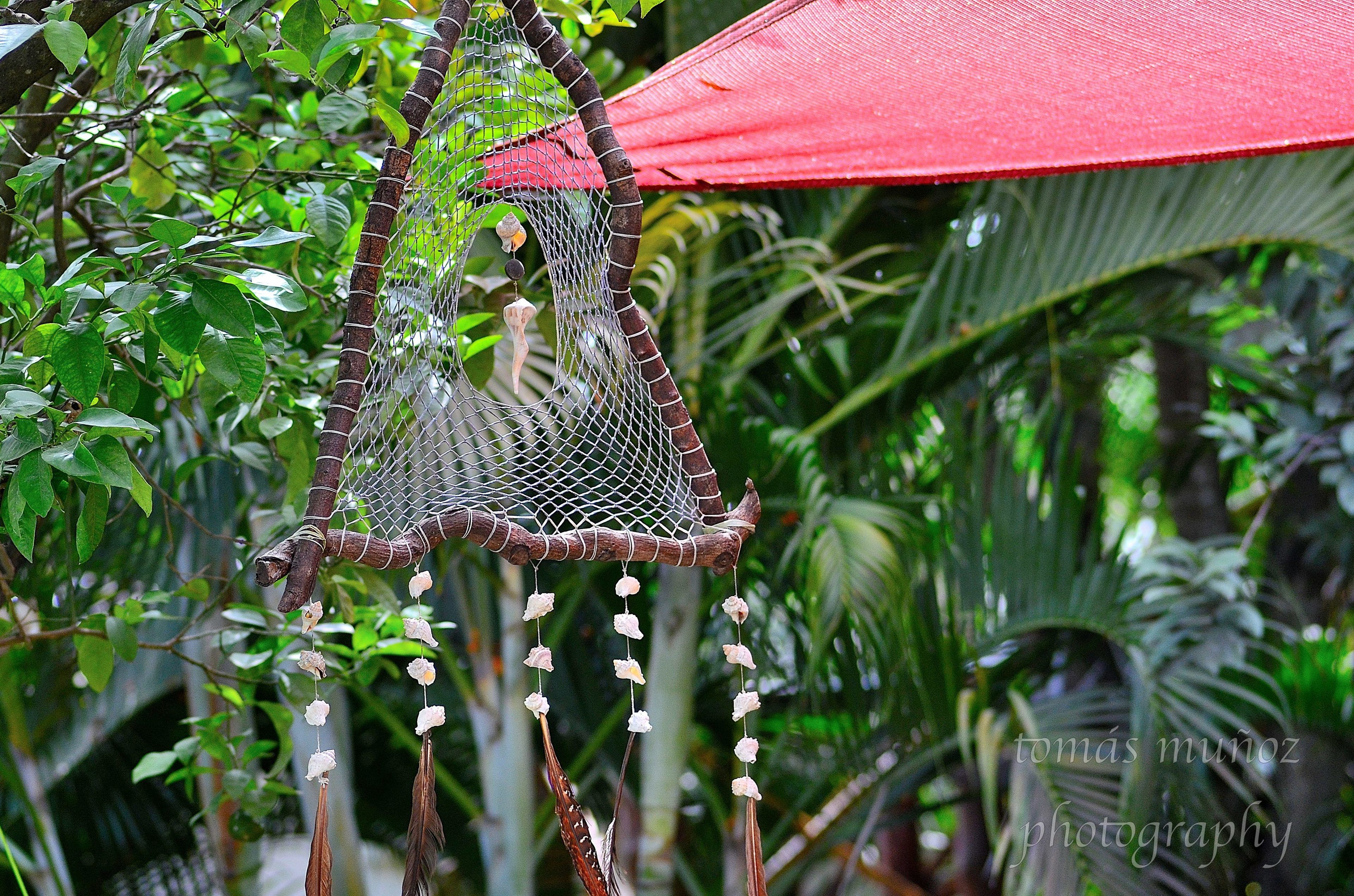 A hammock suspended between trees, surrounded by lush greenery.