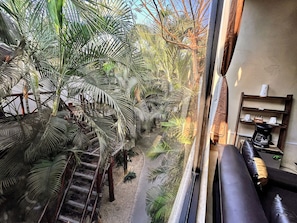 Suite presidencial | Vista desde la habitación