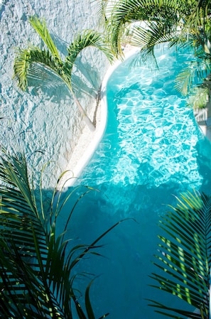 A clear blue pool with a sandy beach and palm trees. - Pacha Tulum Boutique Hotel (Tulum)