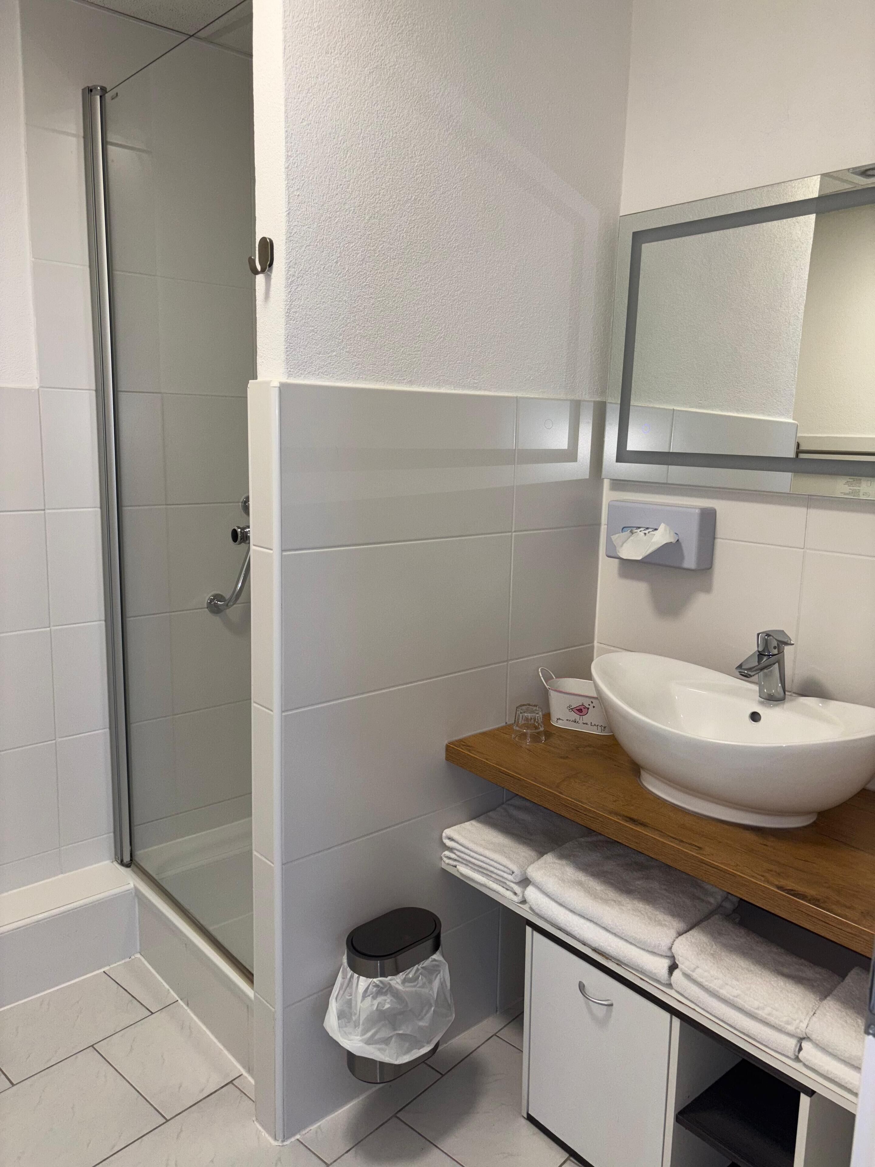 A modern bathroom with a glass shower enclosure, a white sink with a wooden countertop, and a mirror above the sink.
