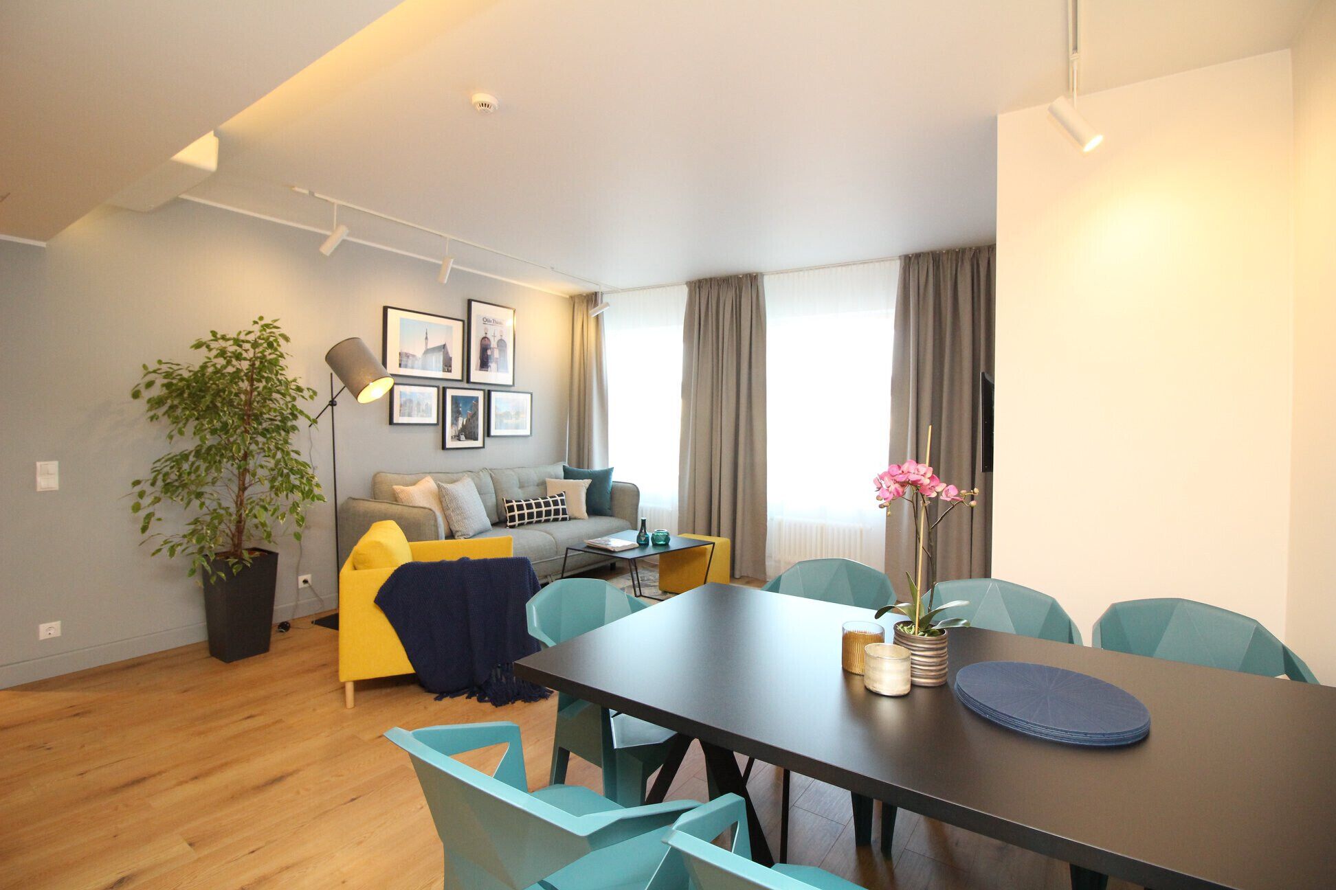 A modern living room with a sofa, dining table, chairs, and a potted plant.