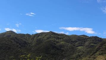 Paesaggio montuoso con fitta vegetazione verde sotto un cielo azzurro limpido.