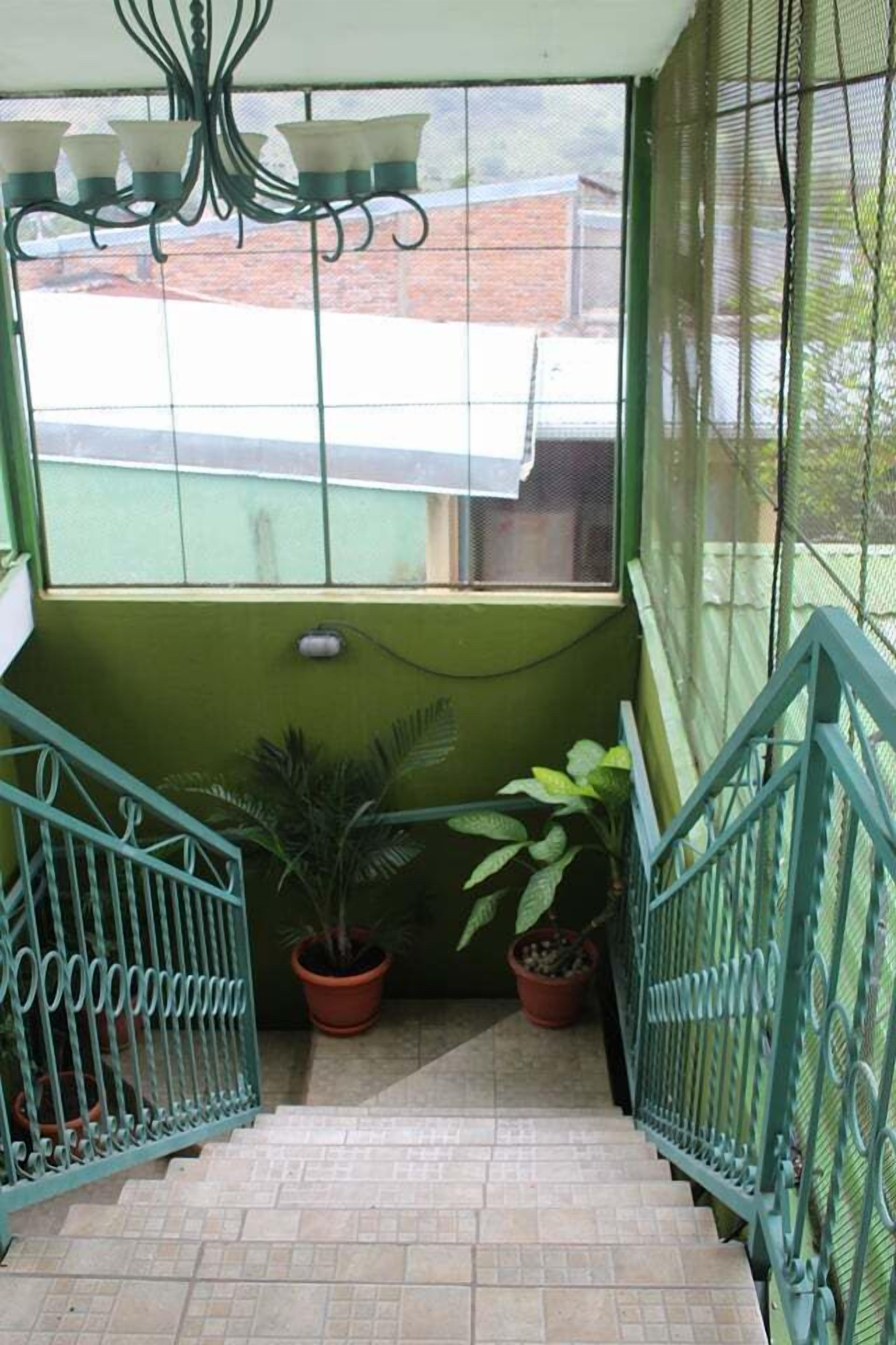 A staircase with green railings leading to a balcony with potted plants and a view of buildings.
