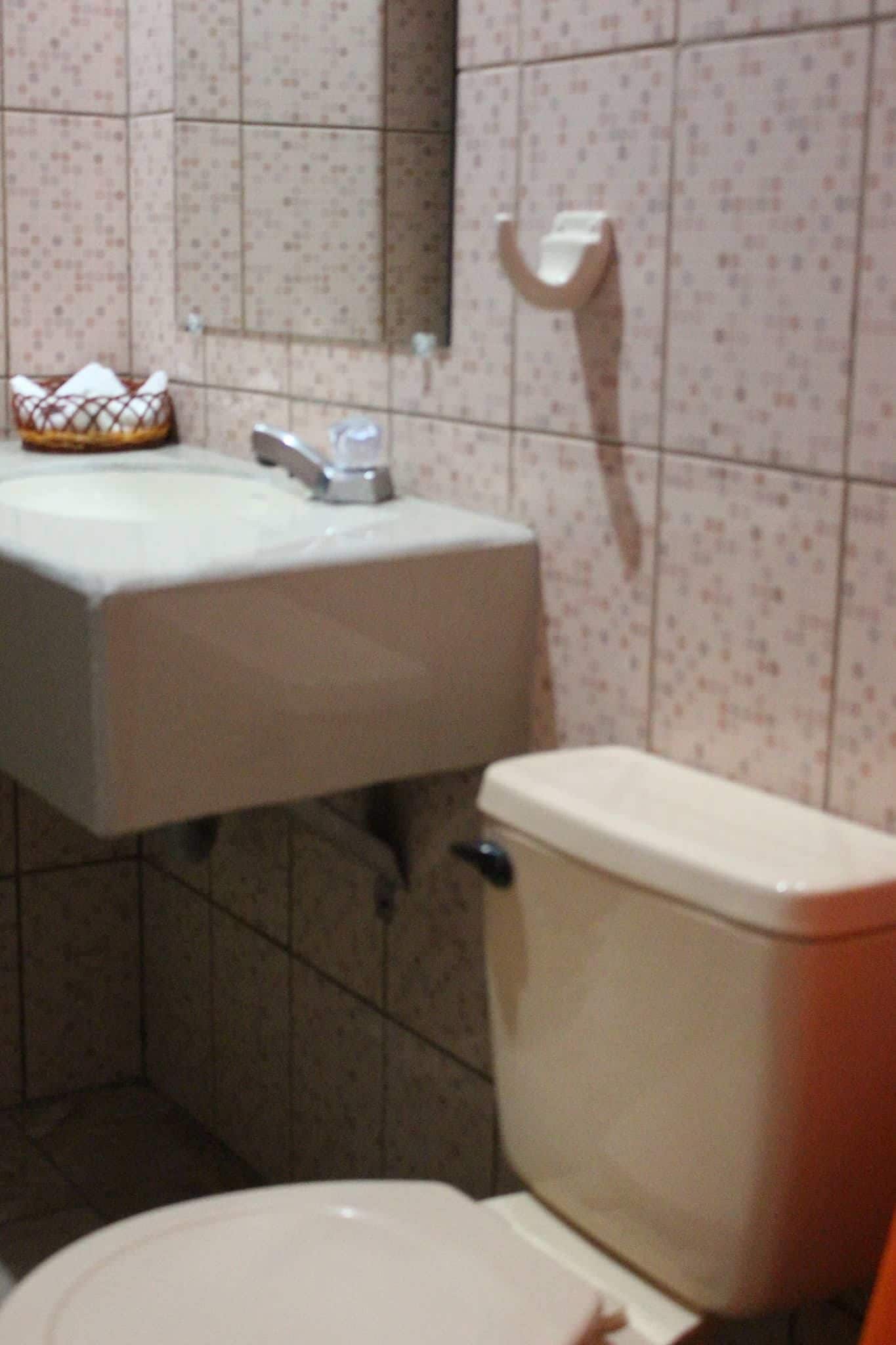 Un baño con inodoro, lavamanos y toallero.