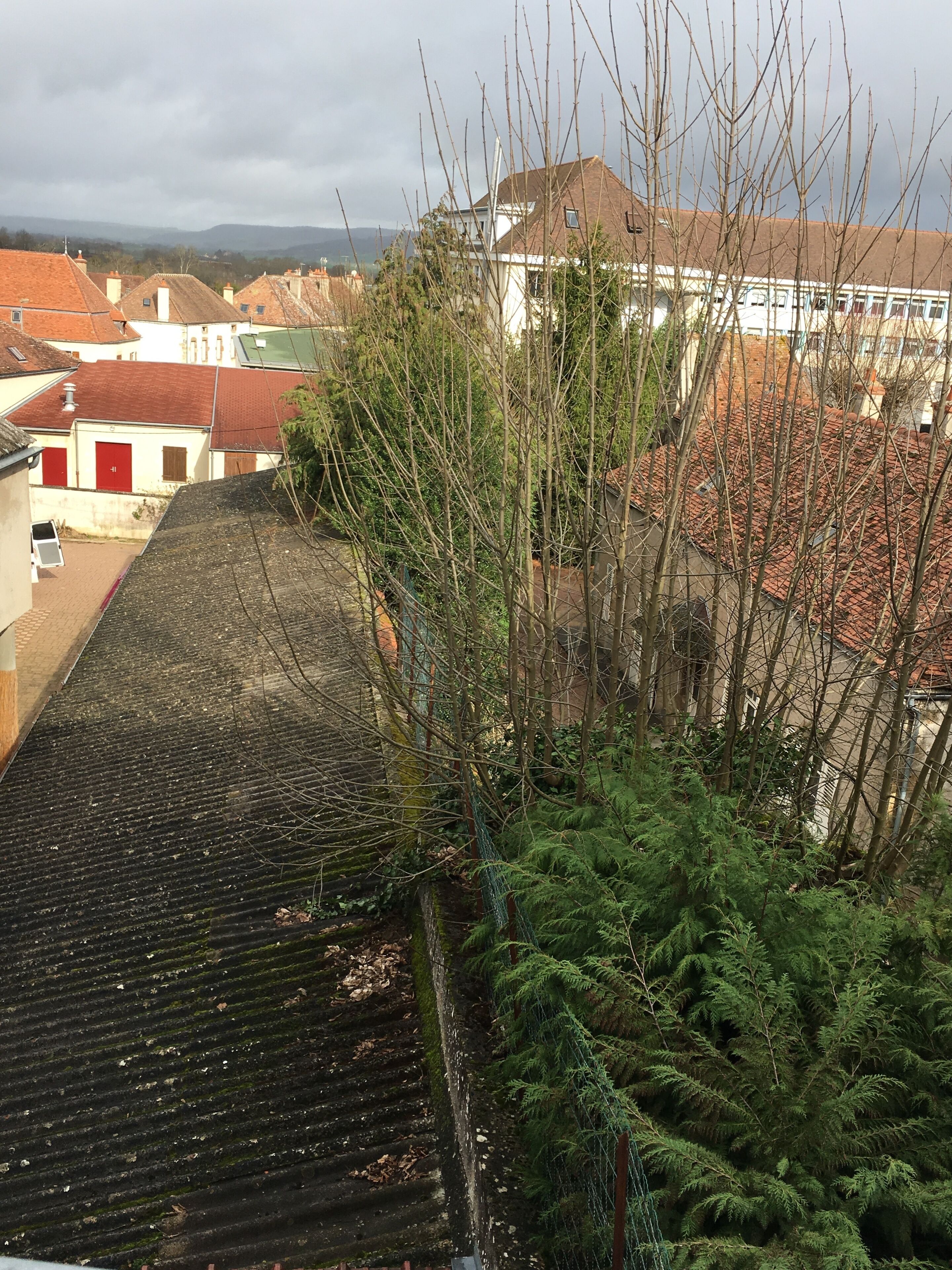 Ropa de cama de alta calidad, decoración personalizada y escritorio 