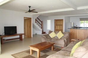 Televisión de pantalla plana