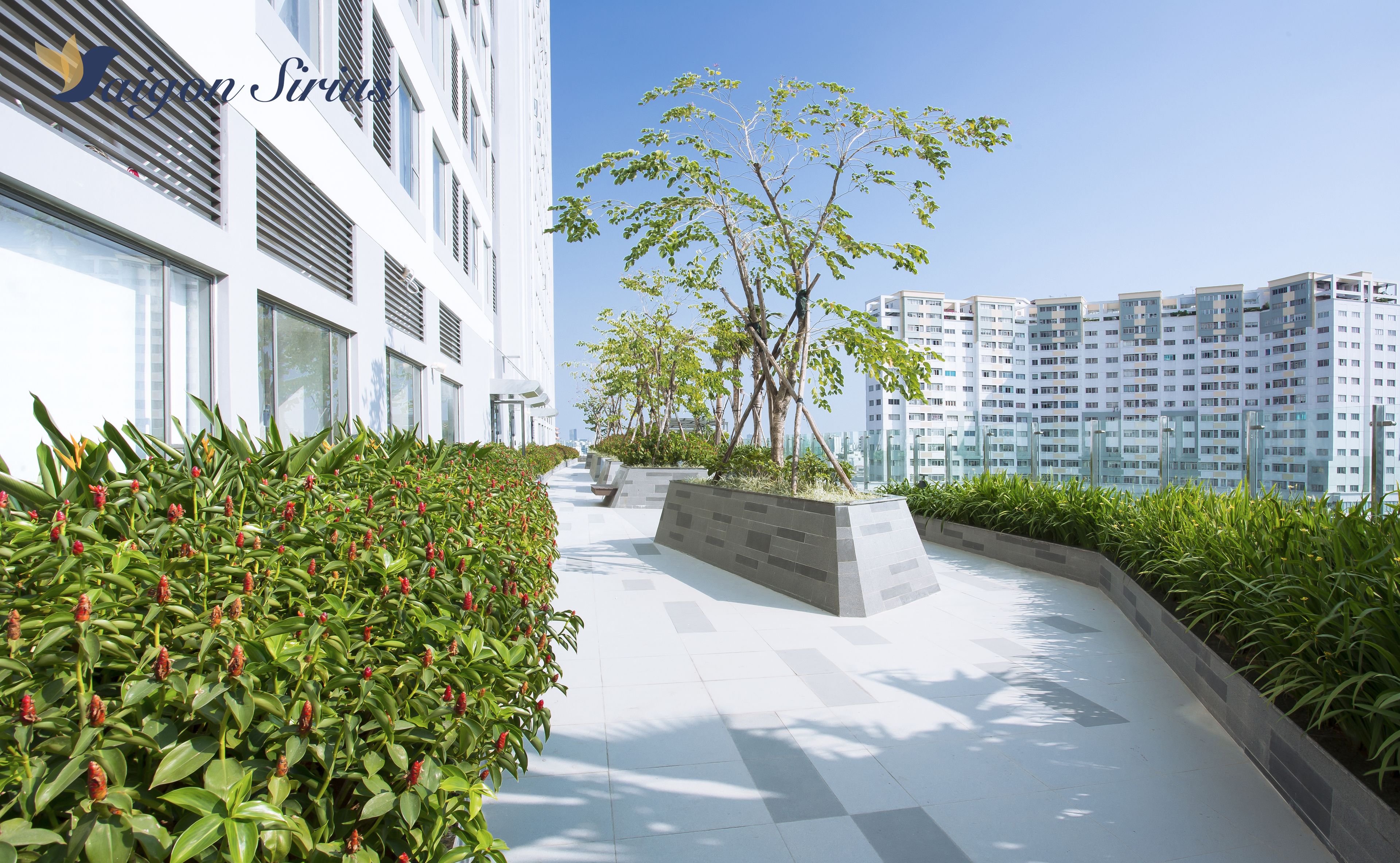 Un moderno edificio residencial con un diseño geométrico y limpio, con un sendero bordeado de vegetación y una vista despejada de edificios altos al fondo.