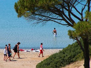 Una playa cerca