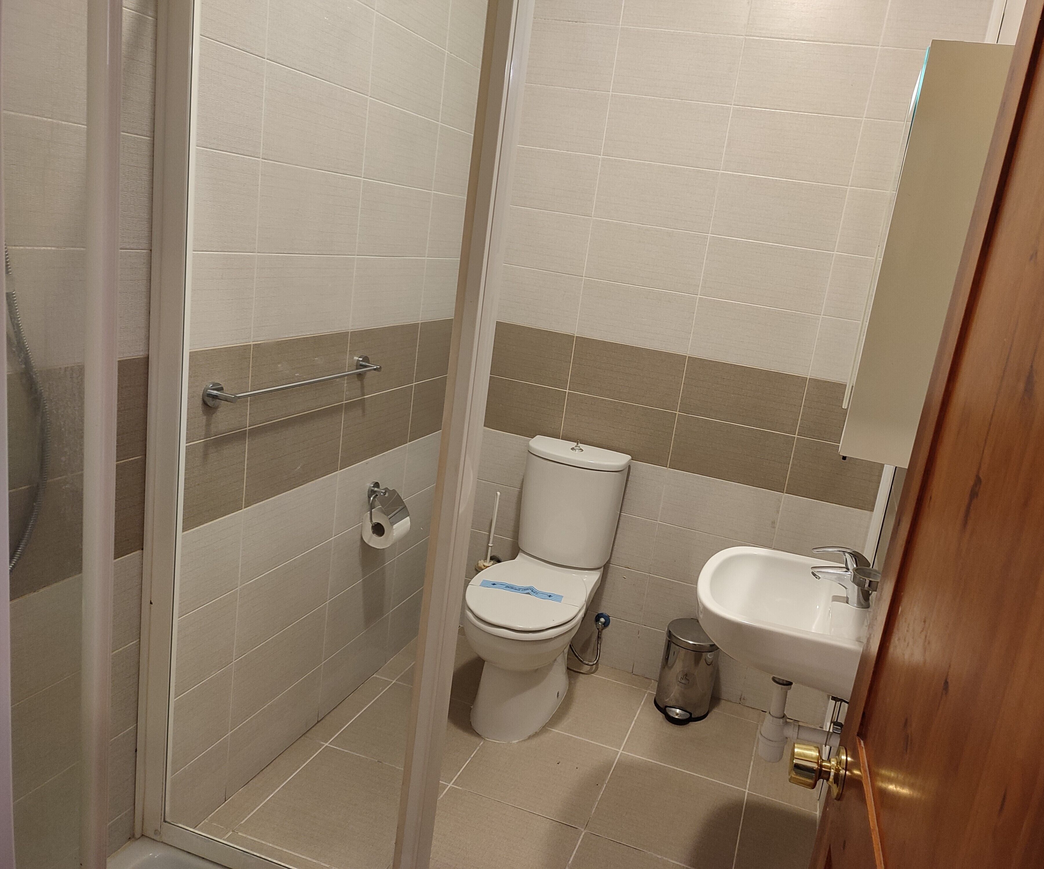 Un baño con inodoro, lavabo y ducha.
