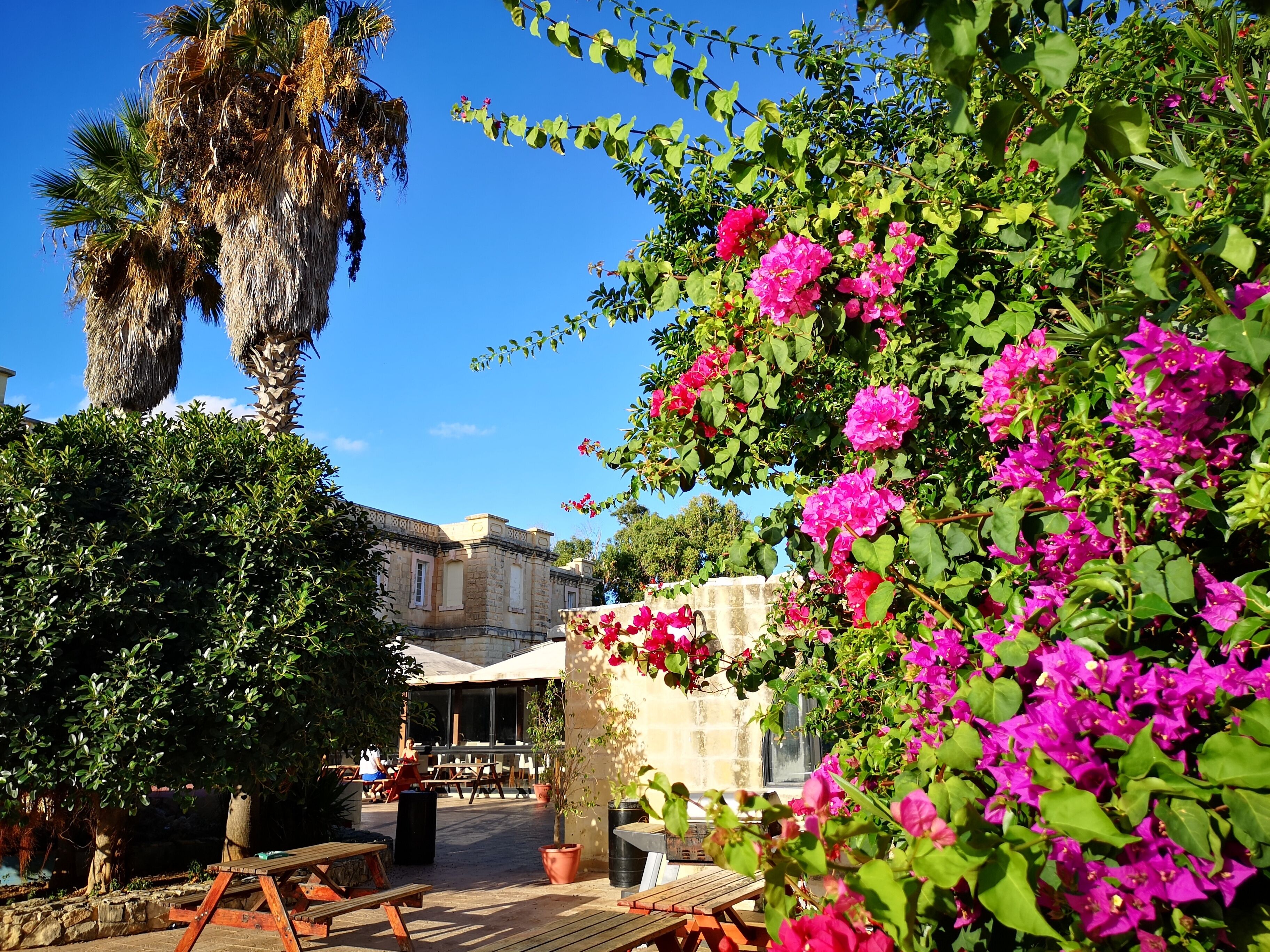 Photo - SC Club Village