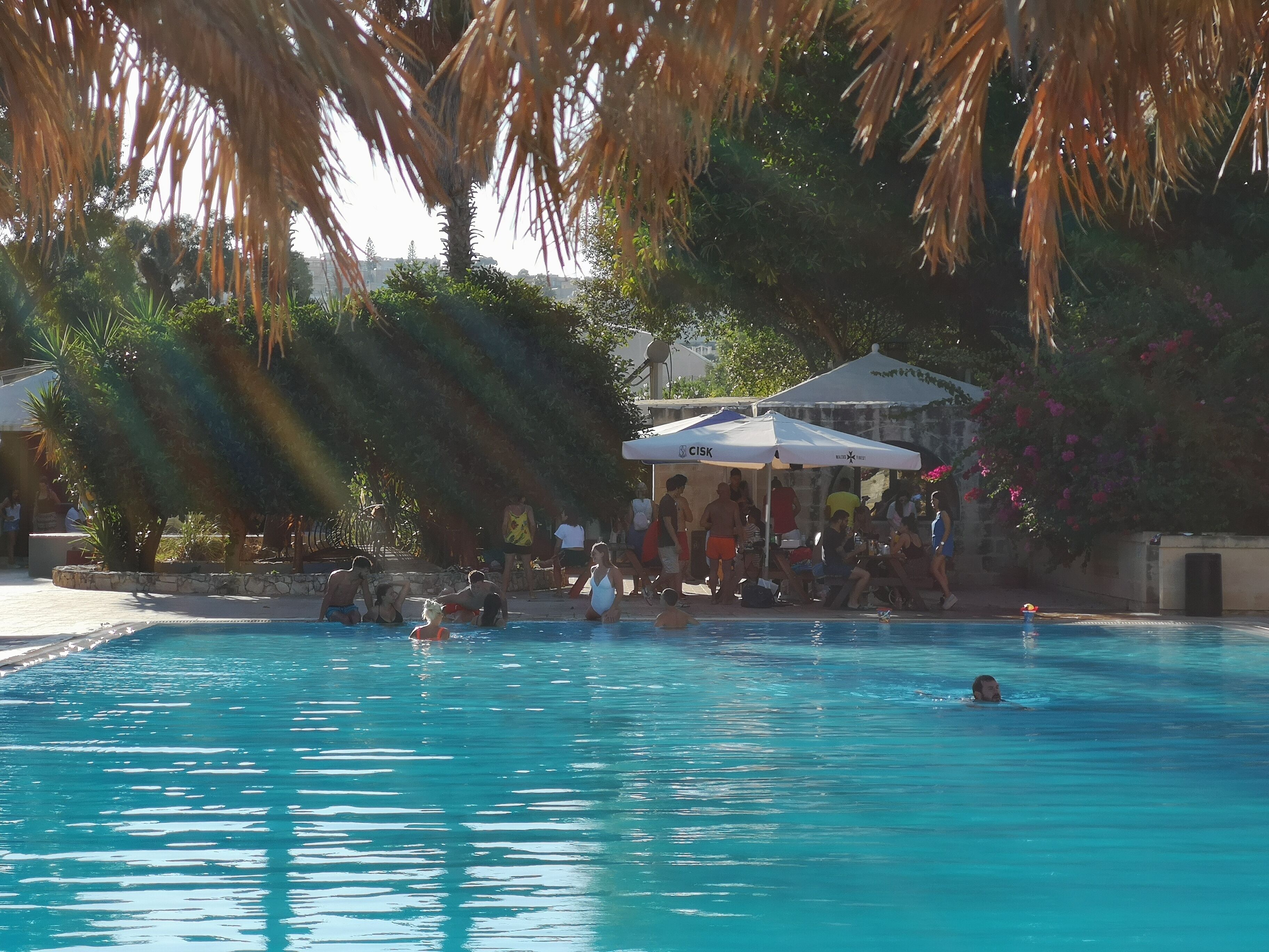 A swimming pool with people around it, surrounded by palm trees and a building with a white umbrella.