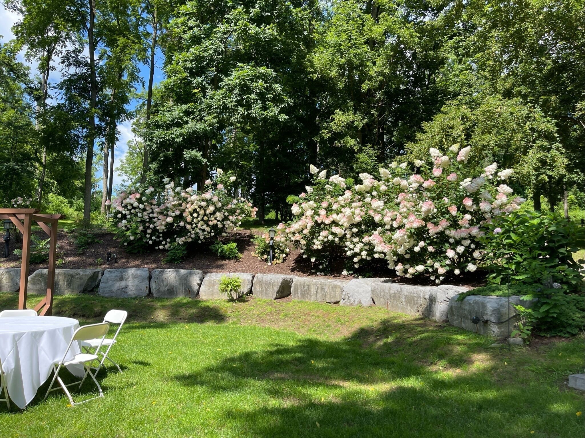 A garden with a pergola and a table with chairs, surrounded by lush greenery and flowering bushes.