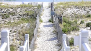 Beach - Big Blue by Kiva Dunes (Gulf Shores)
