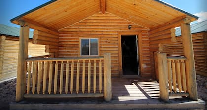 Deluxe camping cabin 7 with showers